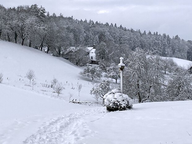 Winterwanderung Steinenbühl Tourenleiter: Jörg Wochele