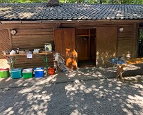 IMG_8729