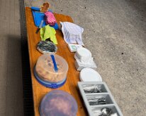 IMG_8731
